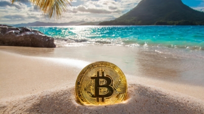 Firefly bitcoin on a beach in paradise 50949