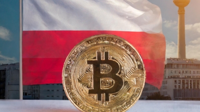 Firefly bitcoin in front of the polish flag in Warsaw, Poland 69771